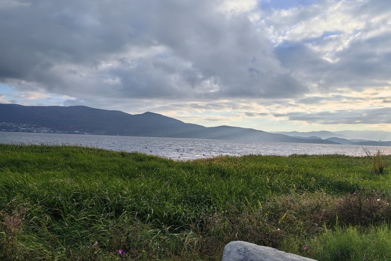 聚力稳产拓增 攻坚项目建设 深耕梯度培育——嘉峪关市工信局全力打好工业经济发展“组合拳”